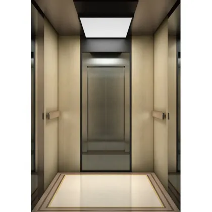 Best Quality Home Elevator Lift VVF Technology
