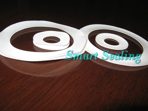 PTFE Envelope Gasket (SMT-326)