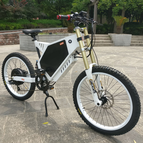 Custom CE Approved Fat Tire Electric Bikes