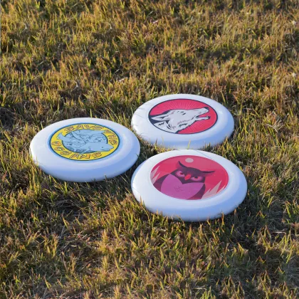 Beginners Disc Golf Frisbee: Custom Professional Plastic Flying Plate