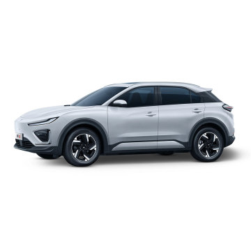 2024 China Luxury EV: Neta X Pure Electric SUV - 5 Doors, 5 Seats, 501KM Range