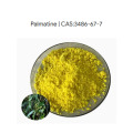 Healthcare Supplement Palmatine Powder 99% CAS 3486-67-7