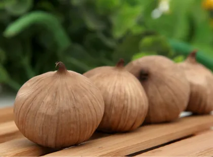 Royal black garlic made from china organic