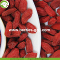 Groothandel Super Food Dried Berry Goji