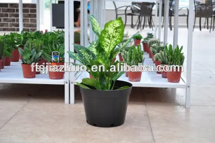 PE nursery pot is black soft nursery pots which is farm garden decorative flower pots wholesale
