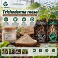 مسحوق Trichoderma reesei الميكروبي لتحلل المخلفات العضوية وإدارة التربة