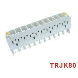Title: **10 Pair 3-Pole Arrester Magazine**