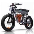 ZM21 Basic Electric Fat Bike