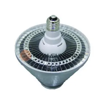 E40 E27 30W LED Garden Lamp Replace 100w hps