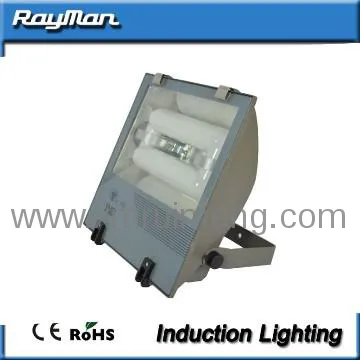 Flood Projector Light 220V