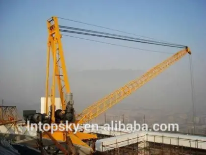 8t Derrick Crane