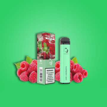 Fruit Flavors Gunnpod Vape Disposable E Cigarette