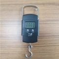 Mini Luggage Electronic Scale Express Gram Scale