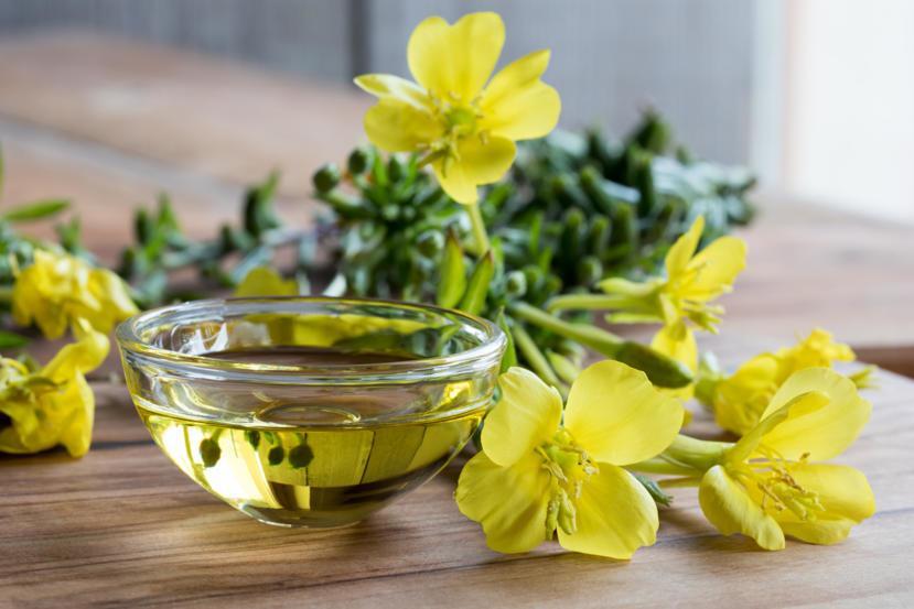 Evening-Primrose-Oil-