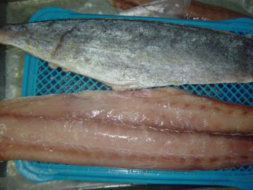 High Quality Seafood Frozen Pacific Saury