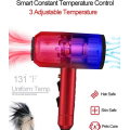 Professinal Double Force Dog Hair Dryer