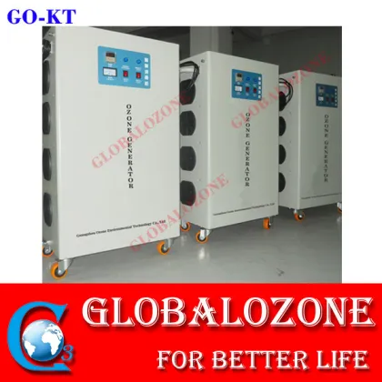 Water disinfection equipment fish farming ozone generator
