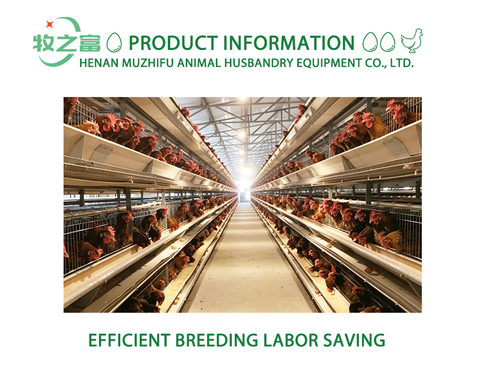 Breeder Chicken Cage System X