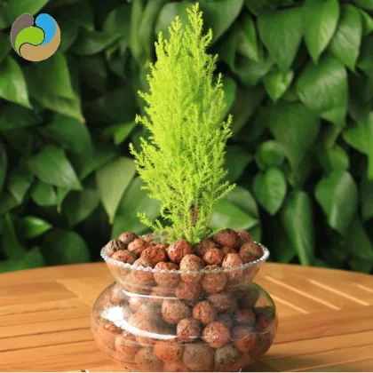 Water Storage Ceramsite for Agricultural/Plants/Sponge city