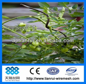 tomato spiral plant stake wire