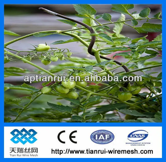 tomato spiral plant stake wire