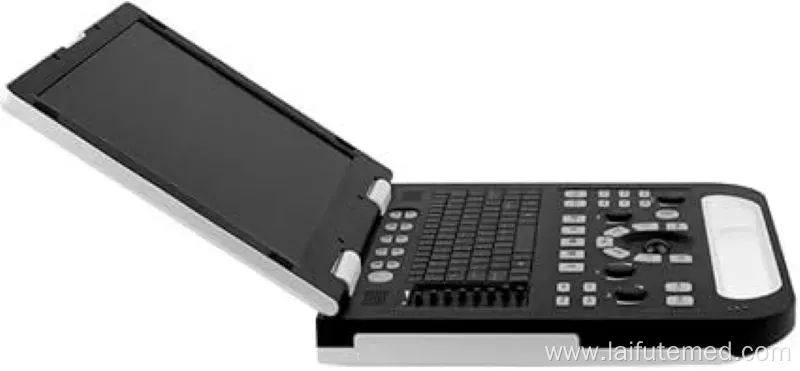 Portable 4D Ultrasound Machine for Veterinary Use