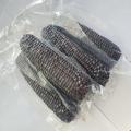 High Quality Black Sweet Corns