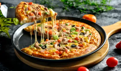 Pellet Pizza Oven Portable Pizza Oven Gas Oven