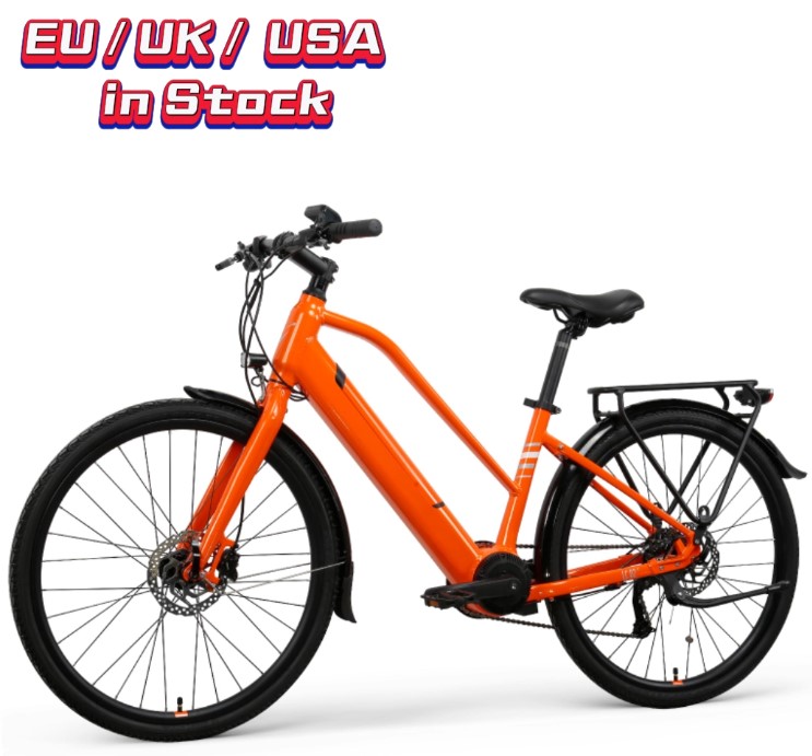 40 миль в час Electric Bike LC02