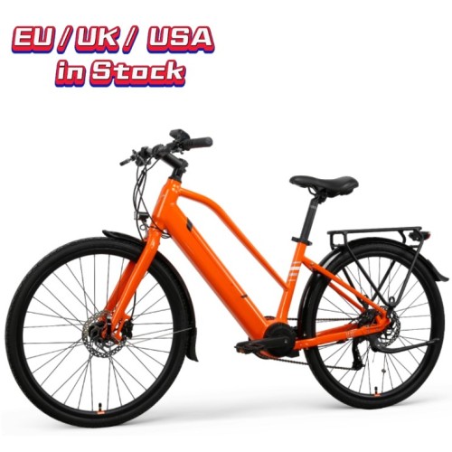 40 миль в час Electric Bike LC02