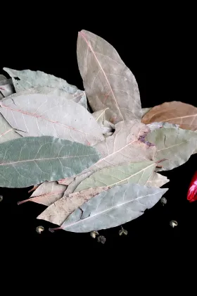 Bay leaf seasoning
