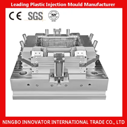 China Automatic Competitive Plastic Mould Manufacturer (MILE-PIM042)