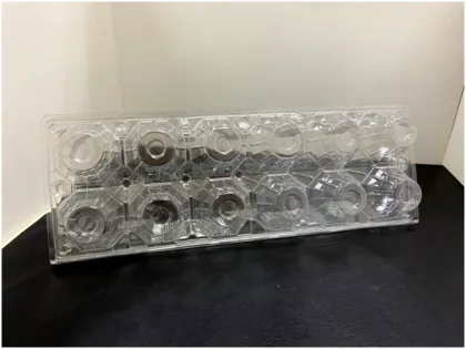 Hot sale Transparent PET Egg Box