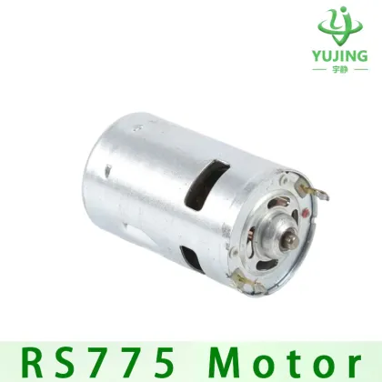 Auto & Robotic DC Motor