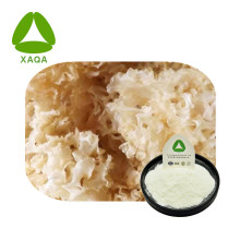 Tremella fuciformis Extrato de fungo branco em pó de fungo branco