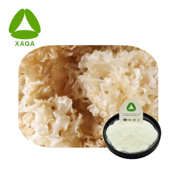 Tremella fucicimis extrait le champignon blanc poudre de champignon blanc