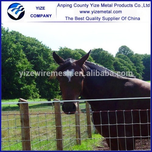 Cattle fence and hinge joint knot field fence mesh