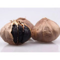 Cheap and affordable black garlic