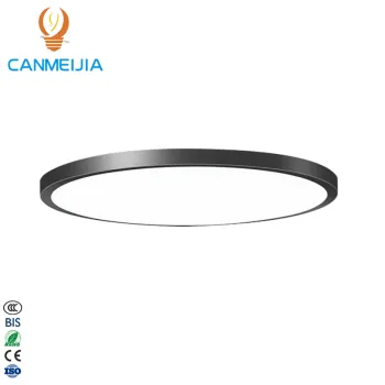 Modern Warm White LED Ceiling Light for Bedroom and Living Room
