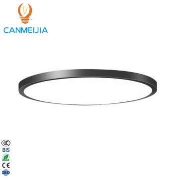 Modern Warm White LED Ceiling Light for Bedroom and Living Room