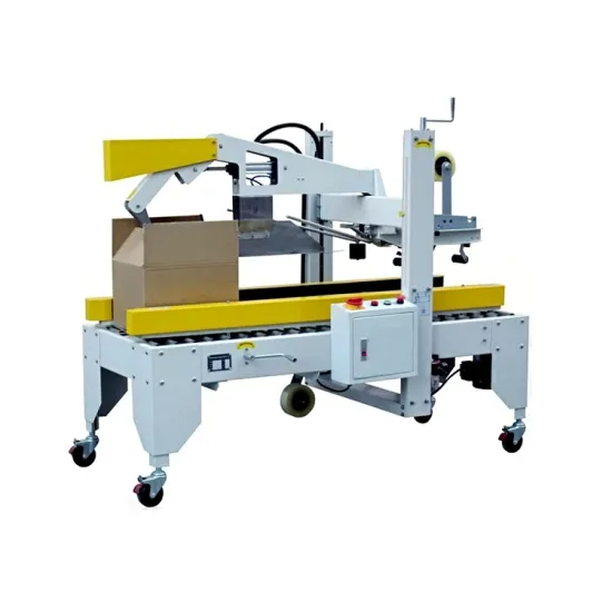 Automatic Case Packer / Erector / Carton Box Packing Machine with Factory Price