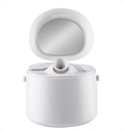Home Spa Ionic Spray Nano Facial Steamer