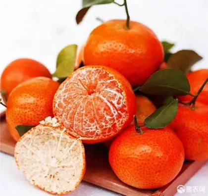 fresh sweet baby madrain