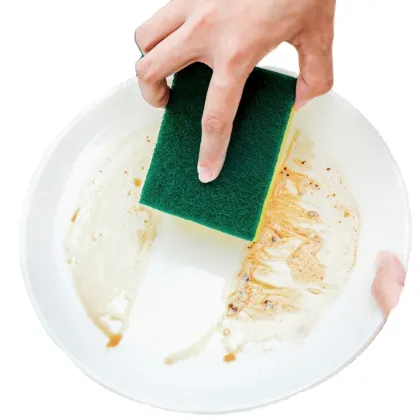 Budget-Friendly Sponges & Scouring Pads for Kitchen Cleaning