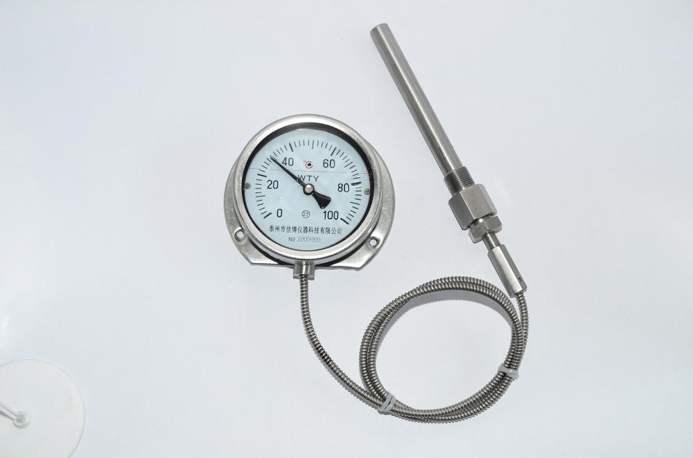 Drucktyp -Thermometer mit elektrischem Kontakt