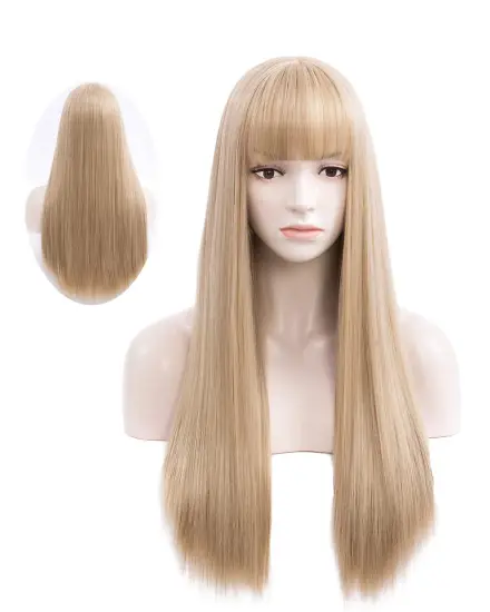 Women's Long Straight Women's  Long Straight 28 inch Heat Resistant Synthetic Cosplay Party Halloween Costume Wigs with Rose Net