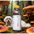 Pet Recovery Wellness Supplement
