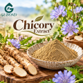 Extrato de chicória para formulações de suplementos dietéticos