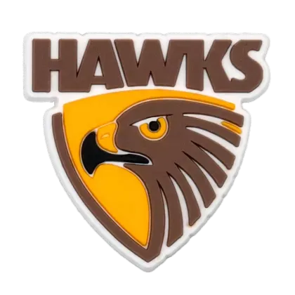 New Wholesale Cartoon Shoe Charms for AFL Style Clog Decorations