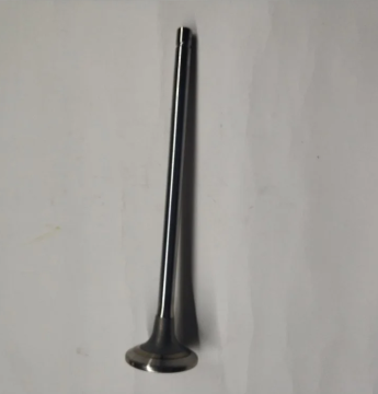 Cummins QSK60 Engine Intake Valve 2881815 for QSK60